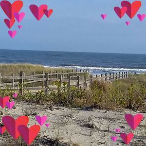 Meet your Posher, Sue